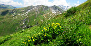 Naturfotos by AlpenYeti