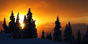 Naturfotos by AlpenYeti