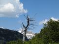 Im Hintergrund der Hochmlbing