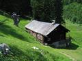 Bei der Krautgartenhtte am Fuweg von der Gablonzer Htte zum Gosausee