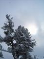 Hin und wieder zeigt sich im Schneefall auch die Sonne