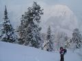 Blick nach Westen zum Kalteck (rechts - Tourenziel am 08.12.2005) und Pleschnitzzinken (Bildmitte - diverse Wander-, Schneeschuh- und Schitouren)