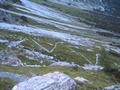 Auf steiler, serpentinenreicher aber gut begehbarer Wiese windet sich der Weg hinunter zur Urprungalm