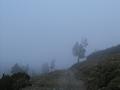 Kurz vor der Galsterbergalm - unten nicht sichtbar im Nebel, aus dem es leicht zu nieseln beginnt