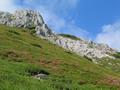 Kurz vor dem Admonter Haus wird es wieder einfacher. Der Grabnerstein gilt als DER Blumenberg der Steiermark.