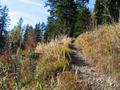 Rckweg auf von Herbstfarben geprgten Wegen