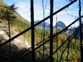 Durch diesen Graben (Khgraben ?) mu eine groe Lawine abgegangen sein - ber weite Strecken liegen die Bume noch unaufgearbeitet am Boden (wenn da mal nicht der Kfer kommt)