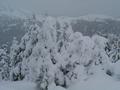 Winterimpressionen 2 - im Hintergrund sieht man die Pisten auf der Planai, auf denen bereits gestern die neue Saison erffnet wurde