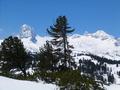 Immer allgegenwrtig - der Blick zum Dachstein mit dem markanten Groen Koppenkarstein (links) und dem Hohen Gjaidstein (rechts)
