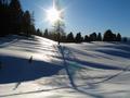 Langsam werden die Schatten lnger