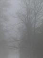 Auch heute wieder Start im Nebel und bei leichtem Nieseln - sollte heute der 3. Abbruch bevorstehen ?