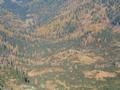 Ausgedehnte W�lder - und mittendrin einige H�tten - das m��te nach meinem Kartenverst�ndnis die Bauernalm sein