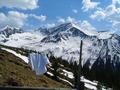 Die Hornfeldspitze - mein Leibchen auf der Trockenleine