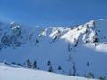 Die steile Ostflanke am Pleschnitzzinken - weiter links (im Bild nicht ersichtlich) sind 2 Schneebretter ber ca. 150 Meter abgegangen