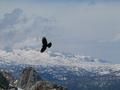 Blick nach Westen ins Dachsteinplateau