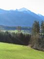 Im Tal - hier in Hofmanning auf ca. 950 Meter Hhe - ist schon der Frhling eingekehrt - hinten das Gumpeneck