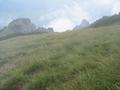 Bei diesem Bild fotografiere ich von oben nach unten ber eine steile Wiese mit dichtem langen Gras hinunter