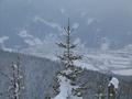 Blick nach Trieben