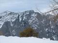 Die Trisselwand