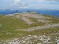 Wer die schroffen, abweisenden Hnge auf der Sdwestseite des Gr. Miesberg umgangen hat, kann es kaum glauben, da sich im Gipfelbereich eine groe, fast ebene Wiese ausdehnt.