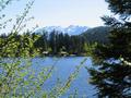 Am densee - im Hintergrund der Grimming