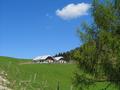 Die Bergalm