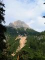 Unterwegs zum Waldparkplatz in Bachwinkl - Blick hinauf zum Persailhorn
