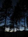 Ab dem Alpengasthof Mahdegg (ein Stck unterhalb meines Standplatzes) bentige ich die Stirnlampe - Blick durch lichten Wald hinber zu den Felszacken im Hagengebirge