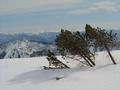 Am Gipfel des Tranebenkogels - im Hintergrund die Rottenmanner Tauern