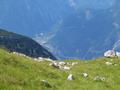 Tiefblick nach Hallstatt und zum Hallsttter See