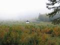 Auch auf der Gstattmaier-Alm waren die Berge noch im Nebel