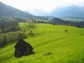 Oberhalb von Stein an der Enns ein komplett anderes - freundliches und warmes - Gesicht