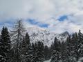 Kurz vor der Schneetalalm ist der Schusterstuhl-Gipfel noch gut erkennbar - nach rechts verluft der Grat zum Suleck (Tour vom 01.11.2005).
