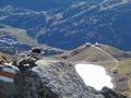 Der Schatz im Silbersee