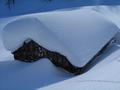 Genug Schnee auf der Alm