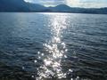 Kurze Rast am glitzernden See