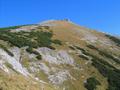 Nach einem kurzen Waldgrtel mit herbstlich gefrbten Bumen geht es ber die Latschenzone meist nur mig steil weiter. Oberhalb von ca. 1.900 Meter Hhe wird der Wind zunehmend unangenehmer und klter.