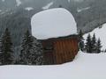 Nach einem steileren Waldstck geht es auf sanft steigenden Forstwegen bergwrts - vorbei an einem Hochsitz.