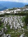 ... vielfach auf den fr das Tote Gebirge typischen spaltenreichen Karstbden