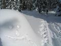 Freundlich lchelnde Schneehaufen freuen sich ber unser Kommen