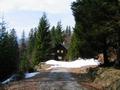 Bis zu dieser Jagdhtte (knapp ber 1.000 Meter) geht es sehr einfach und gut markiert auf Forstwegen aufwrts.
