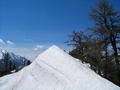 ... und selbst die Schneewchten haben hier die idente Form