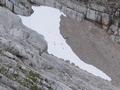 Die Gmse haben sich jetzt ein kleines Schneefeld gesucht, wo sie - Schifahrern gleich - immer wieder am Rand aufsteigen, um anschlieend in der Mitte hinabzurutschen, -laufen, -strzen, -stolpern, -kullern.