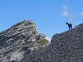 ... um sich - so wie diese hier - vor dem Hochzint in Szene zu setzen.