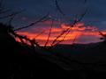 Beim Aufstieg ber den Steilwald zur Luseralm werde ich mit groartiger Sonnenaufgangsstimmung belohnt. Augenblicke, die schtig machen.