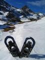 Schneeschuhe sind heute das ideale Fortbewegungsmittel. Zwar gibt es vielfach - vor allem in schattigen bzw. nicht zu stark geneigten Hngen durchaus gute Firnbedingungen, bei den sonnenbestrahlten Hngen wre es aber in der Mittagshitze mit Schi kein wirkliches Vergngen mehr gewesen. berdies gab es hufig abgeblasene und apere Stellen, die man mit Schneeschuhen problemlos begehen kann, bzw. so man Mitleid mit den Eisenkrallen hat, kann man sie auch schnell abnehmen und tragen. Dort wo Schnee liegt, gibt es durchschnittliche Tiefen um die 50 cm.