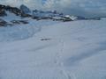 ... ber Schneefelder ...