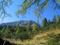 ... bis zu einer nchsten Plateaustufe an der Baumgrenze - im Hintergrund der Ghagspitz ...