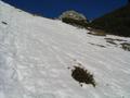 Die Kammspitze tritt ins Blickfeld