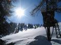 Im Bereich eines Hochsitzes verlt man den Waldgrtel bei ca. 1.760 Meter Hhe